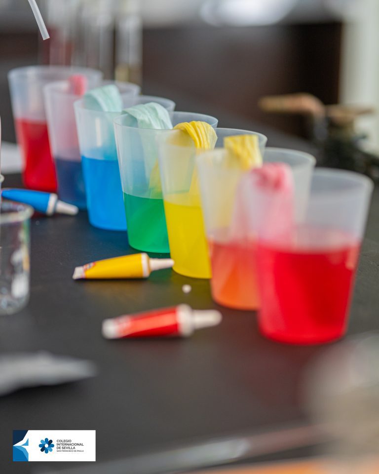Escuela Infantil - laboratorios
