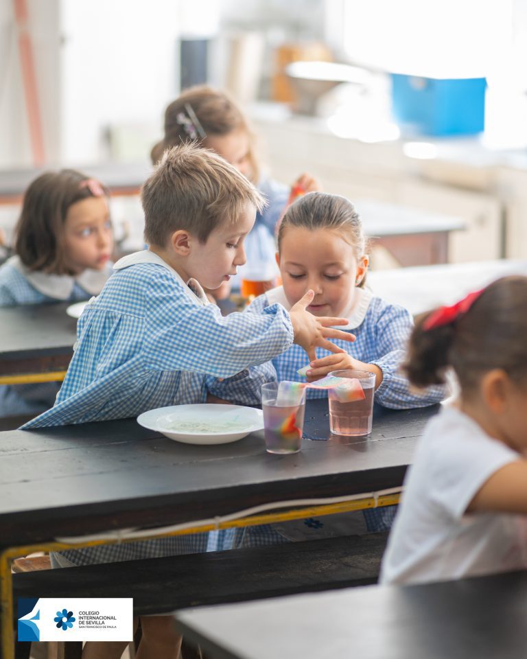 Escuela Infantil - laboratorios