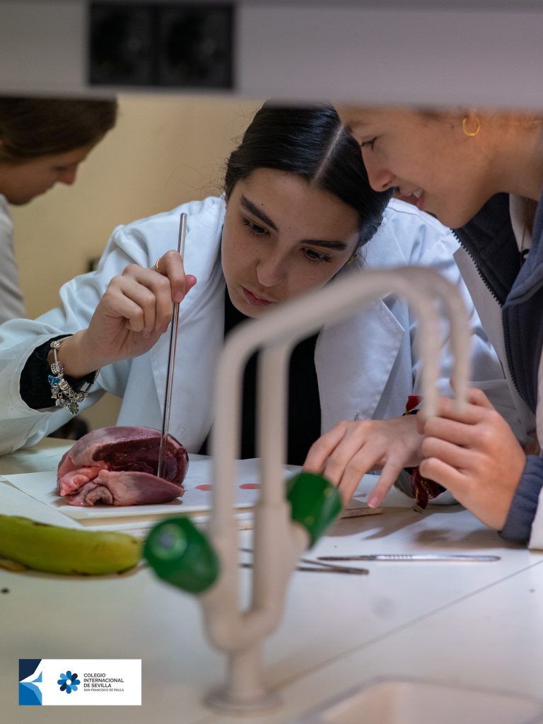PAI-laboratorios