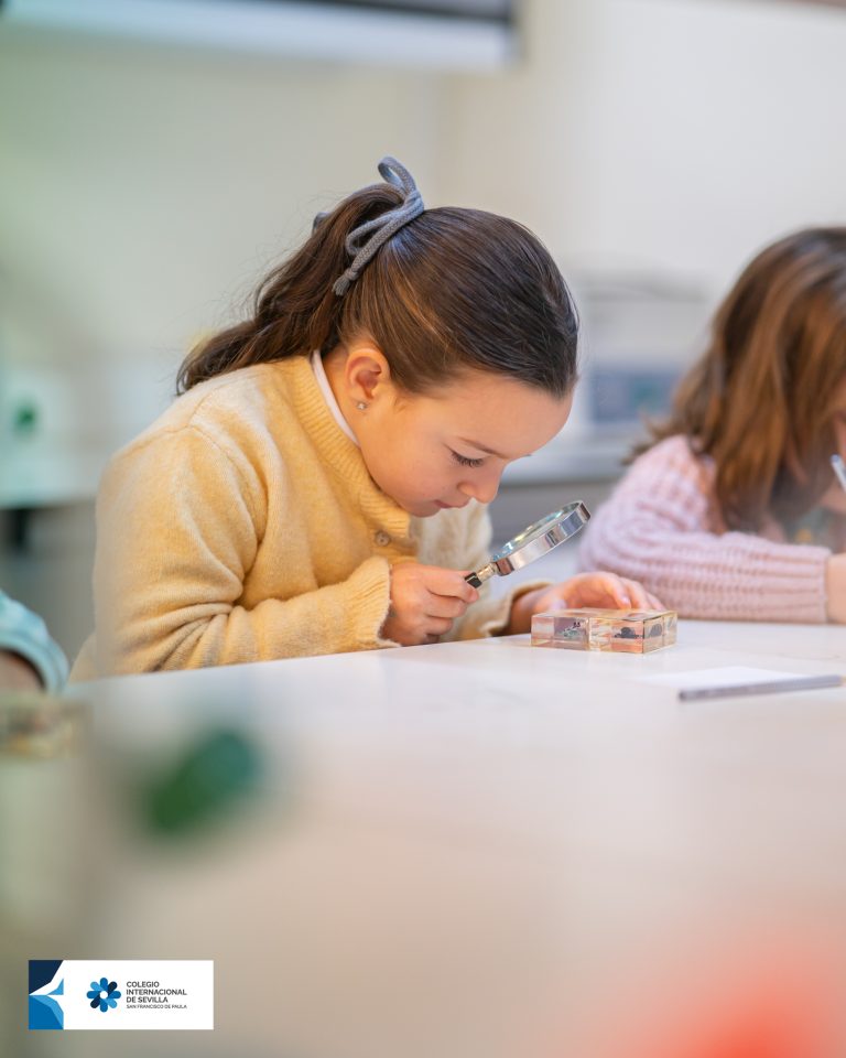 Escuela Infantil - laboratorios